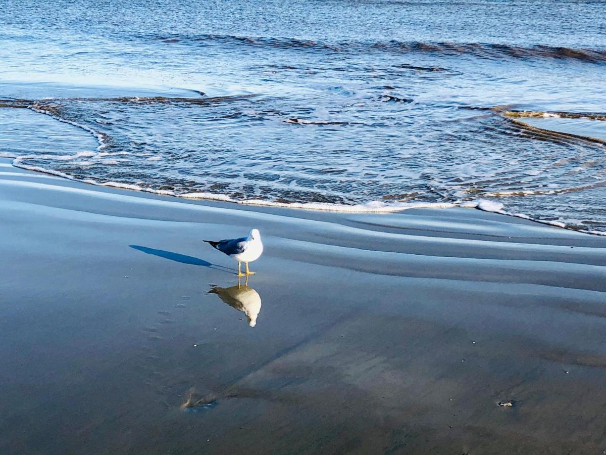 فيلا St. Simons Islandفي Salty Breeze At Demere Landing Unit 168 - Salt Air Dr المظهر الخارجي الصورة